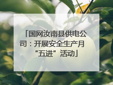 国网汝南县供电公司：开展安全生产月“五进”活动