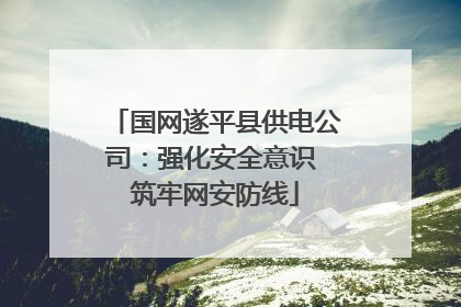 国网遂平县供电公司：强化安全意识 筑牢网安防线