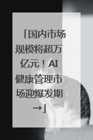国内市场规模将超万亿元！AI健康管理市场迎爆发期→