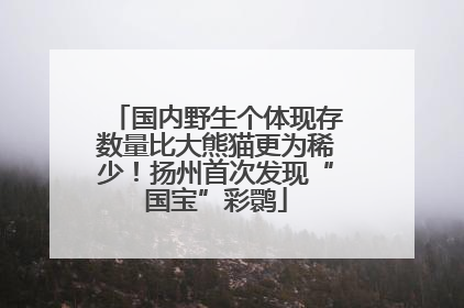 国内野生个体现存数量比大熊猫更为稀少！扬州首次发现“国宝”彩鹮