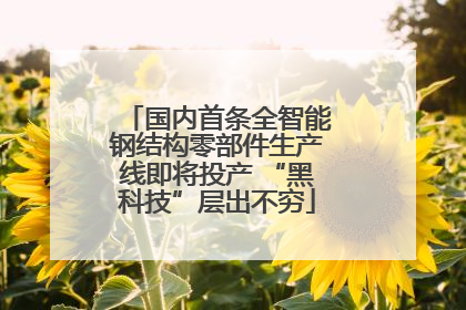 国内首条全智能钢结构零部件生产线即将投产 “黑科技”层出不穷