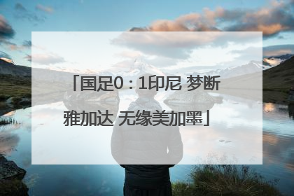 国足0∶1印尼 梦断雅加达 无缘美加墨