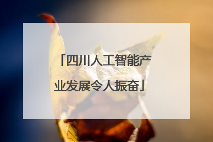 四川人工智能产业发展令人振奋