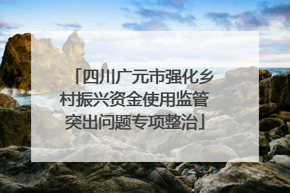 四川广元市强化乡村振兴资金使用监管突出问题专项整治