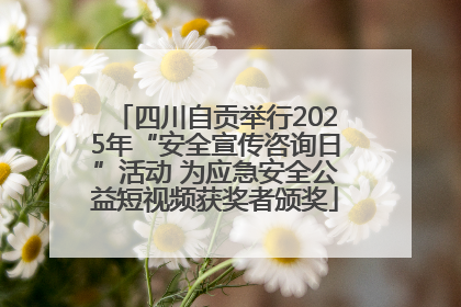 四川自贡举行2025年“安全宣传咨询日”活动 为应急安全公益短视频获奖者颁奖
