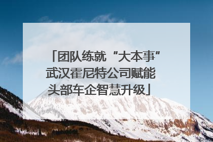 团队练就“大本事” 武汉霍尼特公司赋能头部车企智慧升级