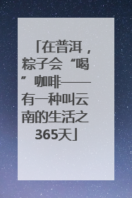 在普洱，粽子会“喝”咖啡——有一种叫云南的生活之365天