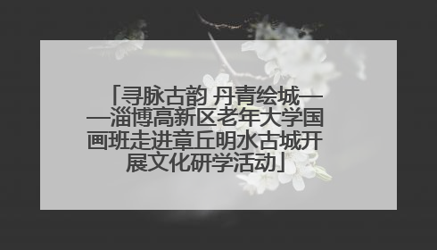 寻脉古韵 丹青绘城——淄博高新区老年大学国画班走进章丘明水古城开展文化研学活动