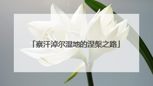 察汗淖尔湿地的涅槃之路