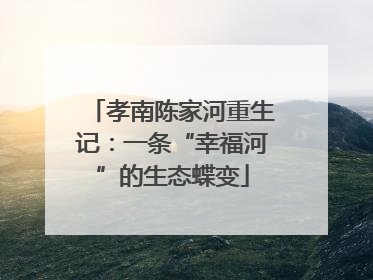 孝南陈家河重生记：一条“幸福河”的生态蝶变