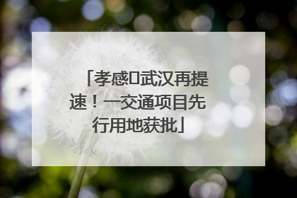孝感⇋武汉再提速！一交通项目先行用地获批