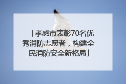 孝感市表彰70名优秀消防志愿者，构建全民消防安全新格局