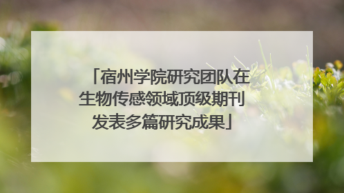 宿州学院研究团队在生物传感领域顶级期刊发表多篇研究成果