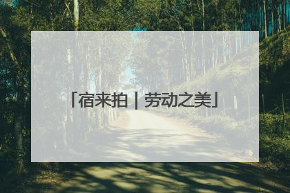 宿来拍｜劳动之美