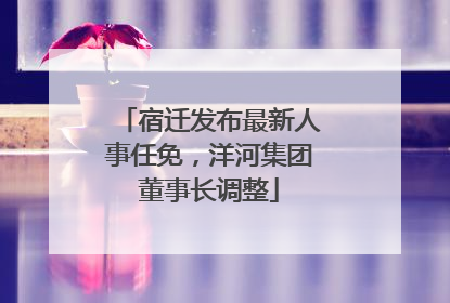 宿迁发布最新人事任免，洋河集团董事长调整