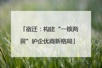 宿迁：构建“一核两翼”护企优商新格局