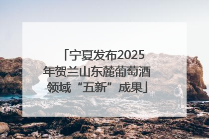 宁夏发布2025年贺兰山东麓葡萄酒领域“五新”成果
