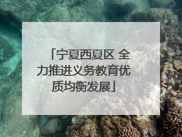 宁夏西夏区 全力推进义务教育优质均衡发展