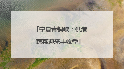宁夏青铜峡：供港蔬菜迎来丰收季