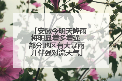 安徽今明天降雨将明显增多增强 部分地区有大暴雨并伴强对流天气