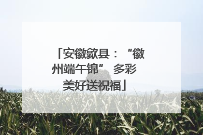 安徽歙县：“徽州端午锦” 多彩美好送祝福