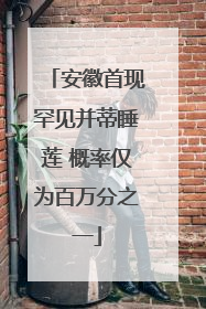 安徽首现罕见并蒂睡莲 概率仅为百万分之一
