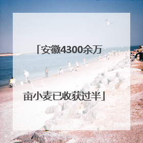 安徽4300余万亩小麦已收获过半