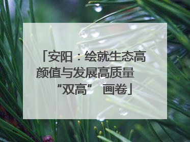 安阳：绘就生态高颜值与发展高质量 “双高” 画卷