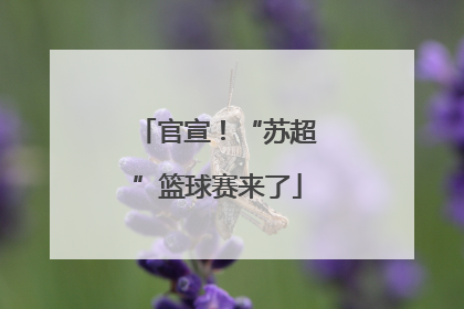 官宣！“苏超”篮球赛来了