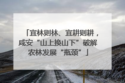 宜林则林、宜耕则耕，咸安“山上换山下”破解农林发展“瓶颈”