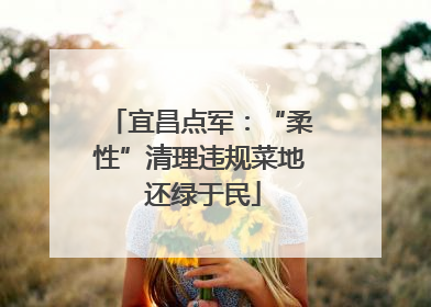 宜昌点军：“柔性”清理违规菜地 还绿于民