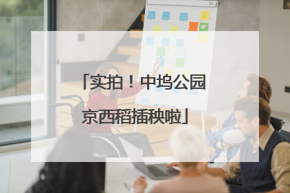 实拍！中坞公园京西稻插秧啦