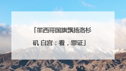 墨西哥国旗飘扬洛杉矶 白宫：看，罪证