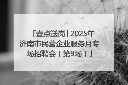 壹点送岗│2025年济南市民营企业服务月专场招聘会（第9场）