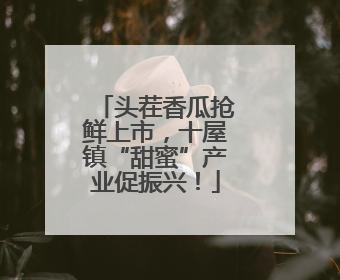 头茬香瓜抢鲜上市，十屋镇“甜蜜”产业促振兴！