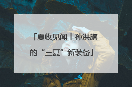 夏收见闻丨孙洪旗的“三夏”新装备