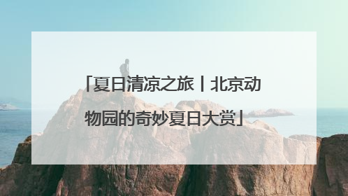 夏日清凉之旅丨北京动物园的奇妙夏日大赏