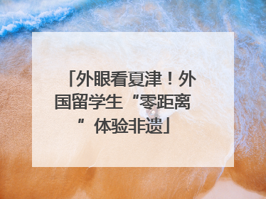 外眼看夏津！外国留学生“零距离”体验非遗
