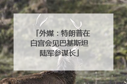 外媒：特朗普在白宫会见巴基斯坦陆军参谋长