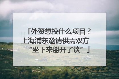 外资想投什么项目？上海浦东邀请供需双方“坐下来掰开了谈”