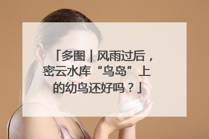 多图｜风雨过后，密云水库“鸟岛”上的幼鸟还好吗？