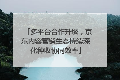 多平台合作升级，京东内容营销生态持续深化种收协同效率