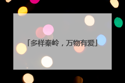 多样秦岭，万物有爱