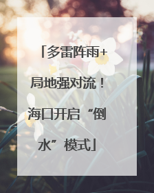 多雷阵雨+局地强对流！海口开启“倒水”模式