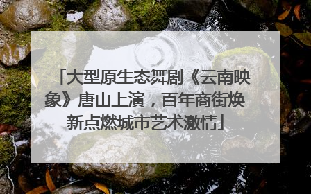 大型原生态舞剧《云南映象》唐山上演，百年商街焕新点燃城市艺术激情