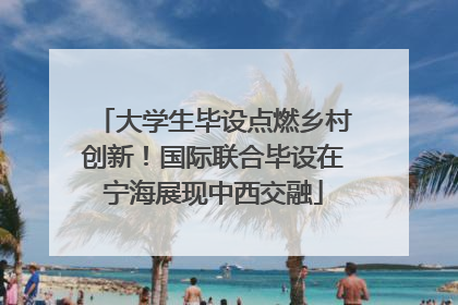 大学生毕设点燃乡村创新！国际联合毕设在宁海展现中西交融