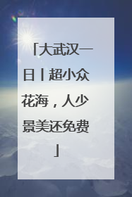 大武汉一日丨超小众花海，人少景美还免费