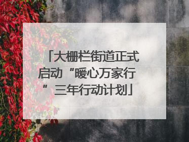 大栅栏街道正式启动“暖心万家行”三年行动计划