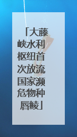 大藤峡水利枢纽首次放流国家濒危物种唇鲮