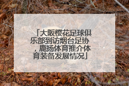 大阪樱花足球俱乐部到访烟台足协，鹿扬体育推介体育装备发展情况